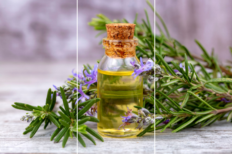 rosemary hair oil